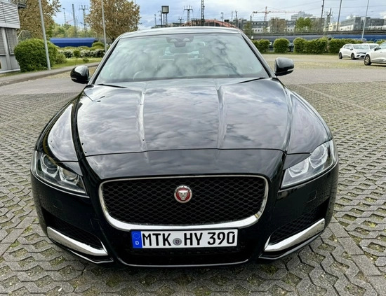 Jaguar XF cena 159900 przebieg: 39500, rok produkcji 2020 z Częstochowa małe 667